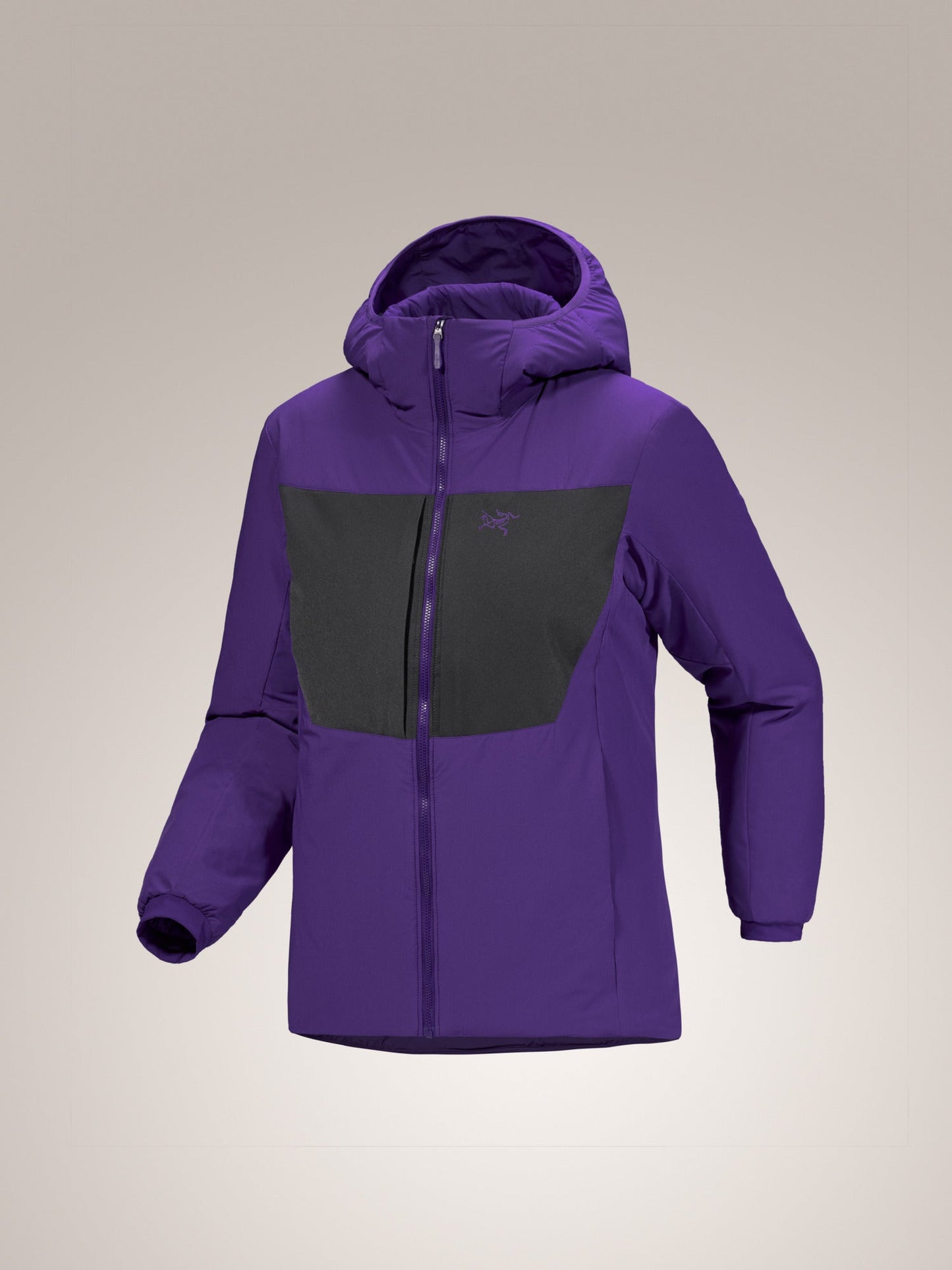 Proton Heavyweight Hoody Women's