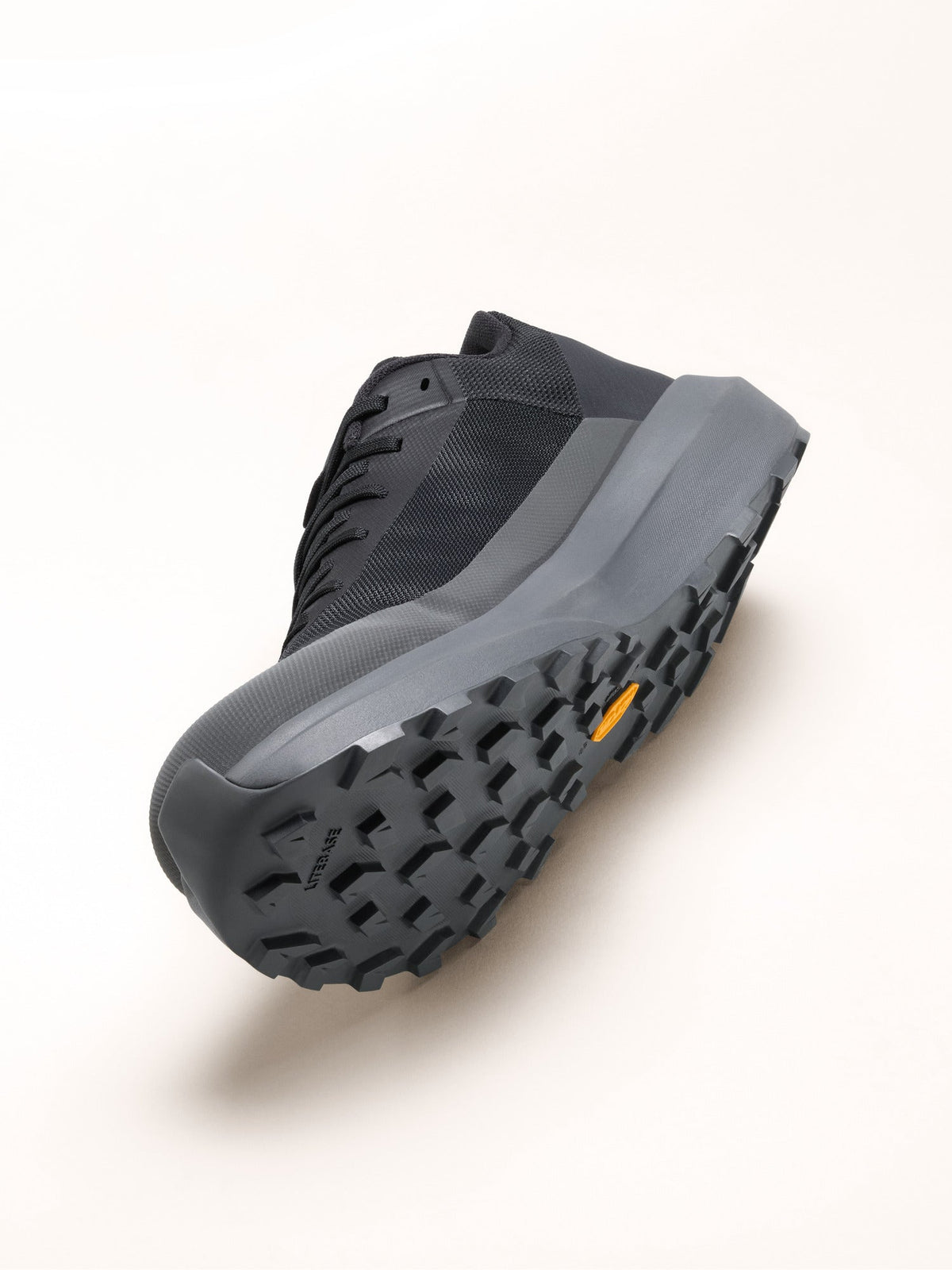 Norvan LD 4 Shoe Men's