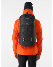 Alpha FL 30 Backpack