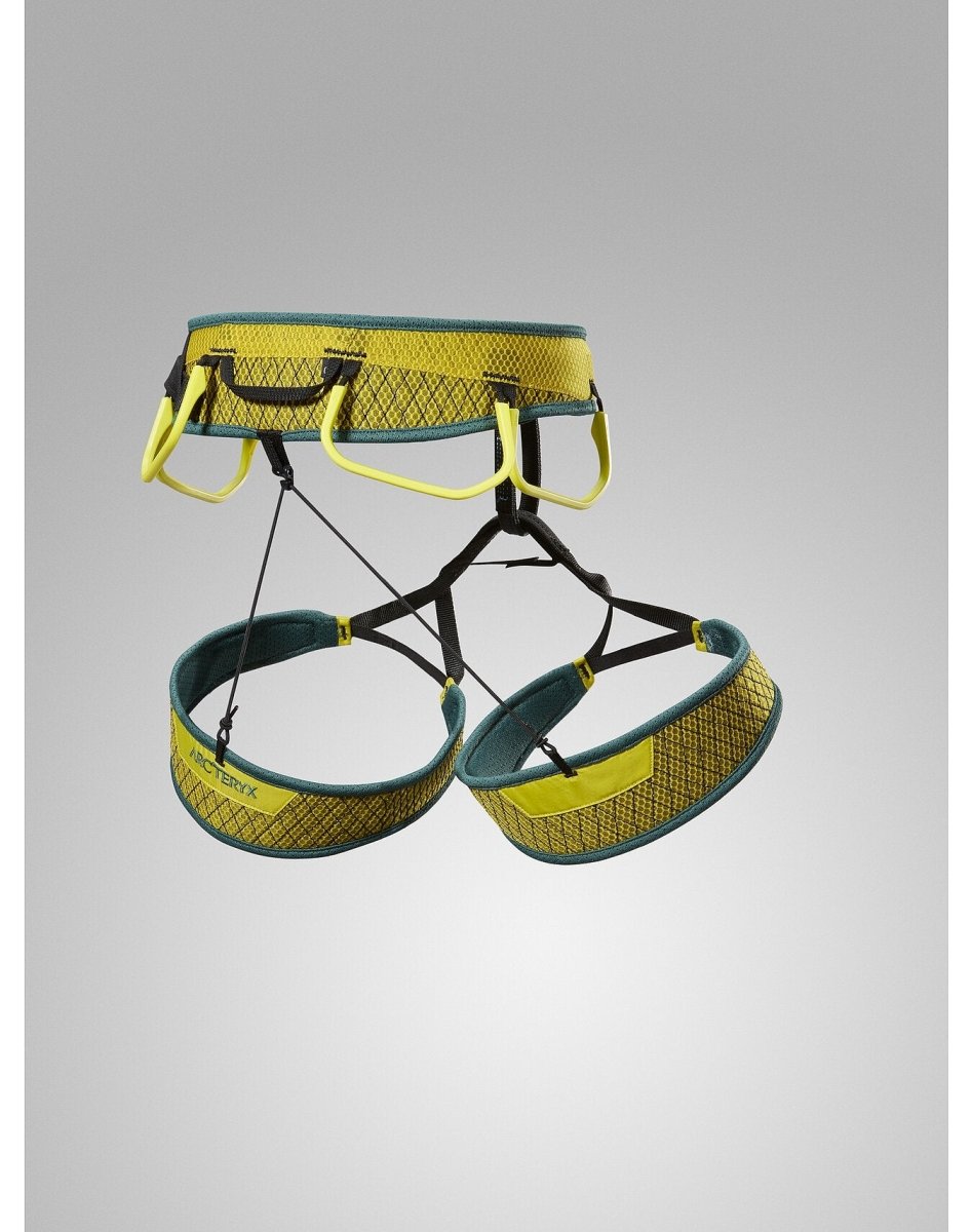 Skaha Harness Women's Lampyre/Boxcar - Arc'teryx Australia