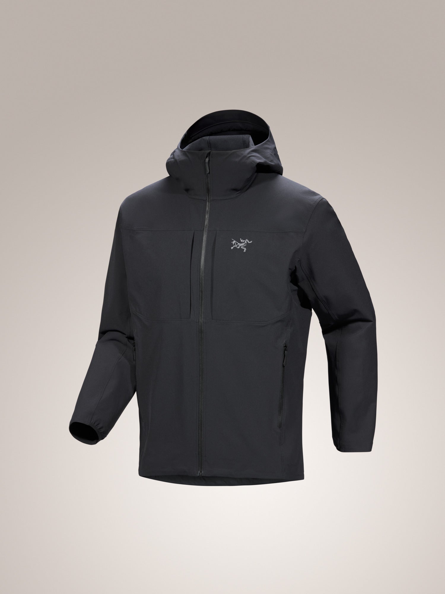 Gamma Hoody Men's
