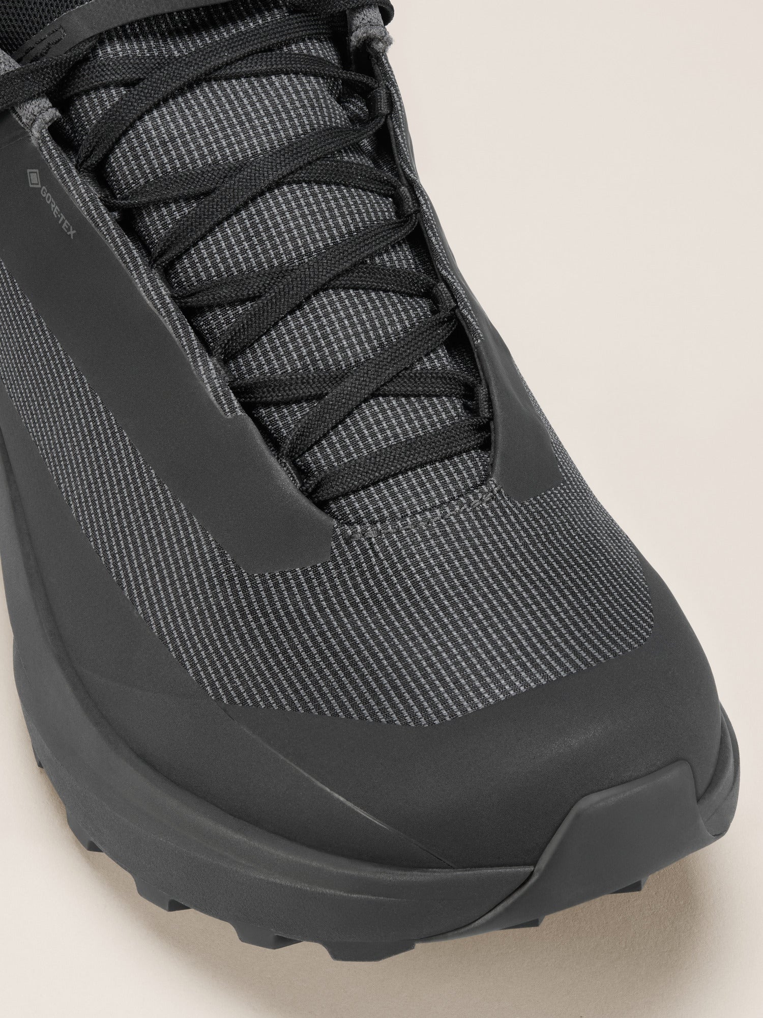 Norvan LD 4 GTX Shoe Men's