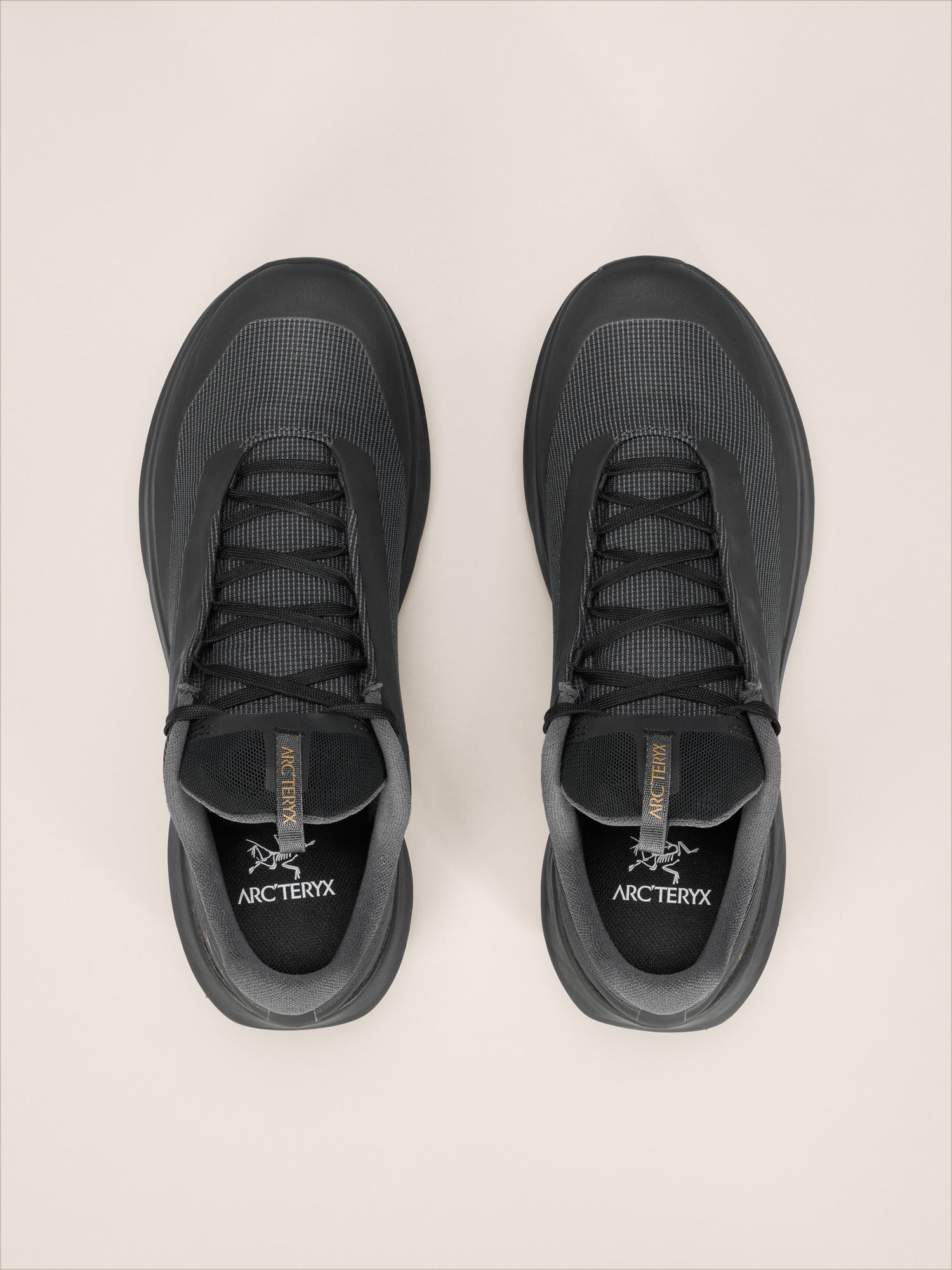 Norvan LD 4 GTX Shoe Men's