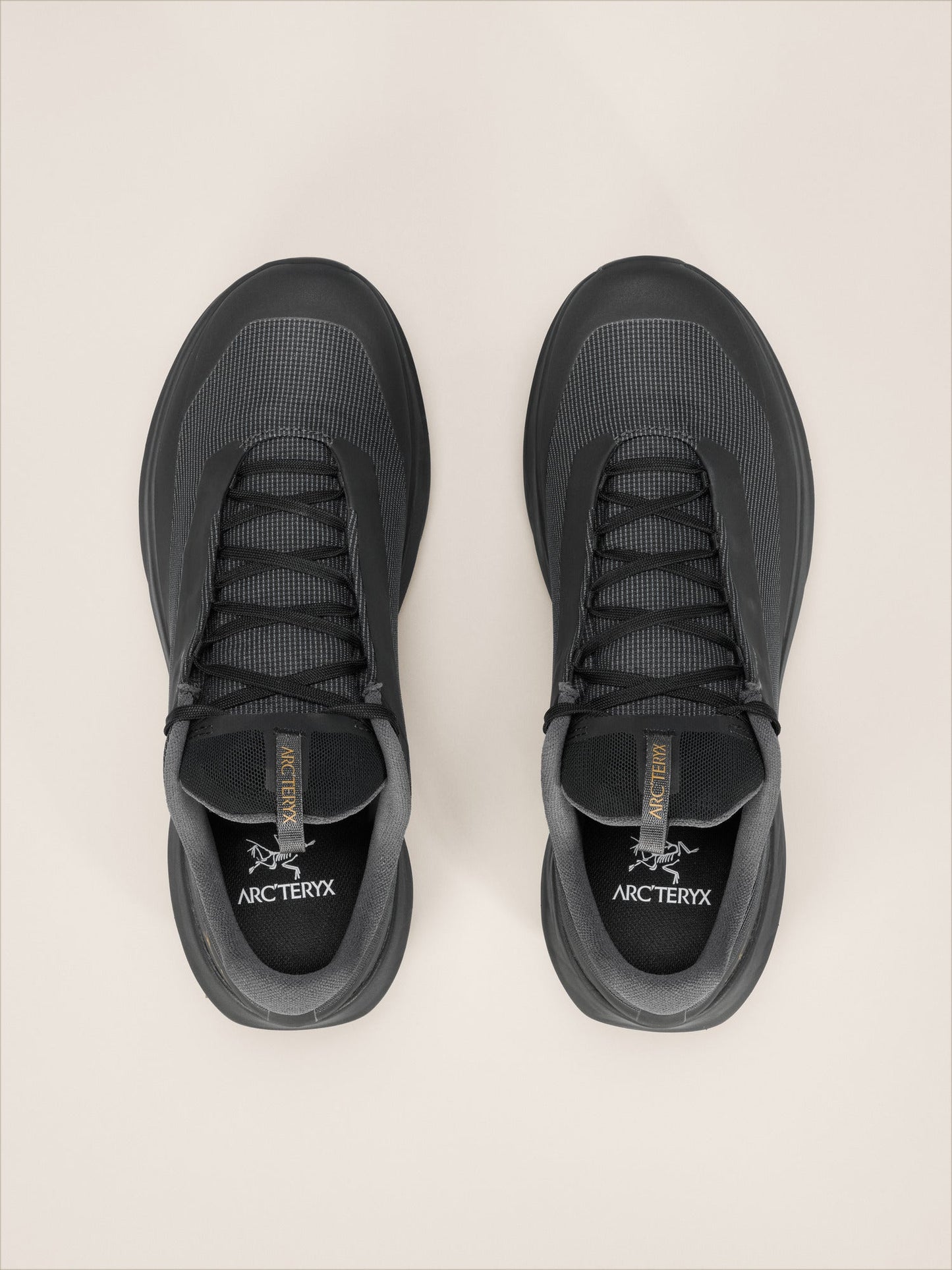 Norvan LD 4 GTX Shoe Men's