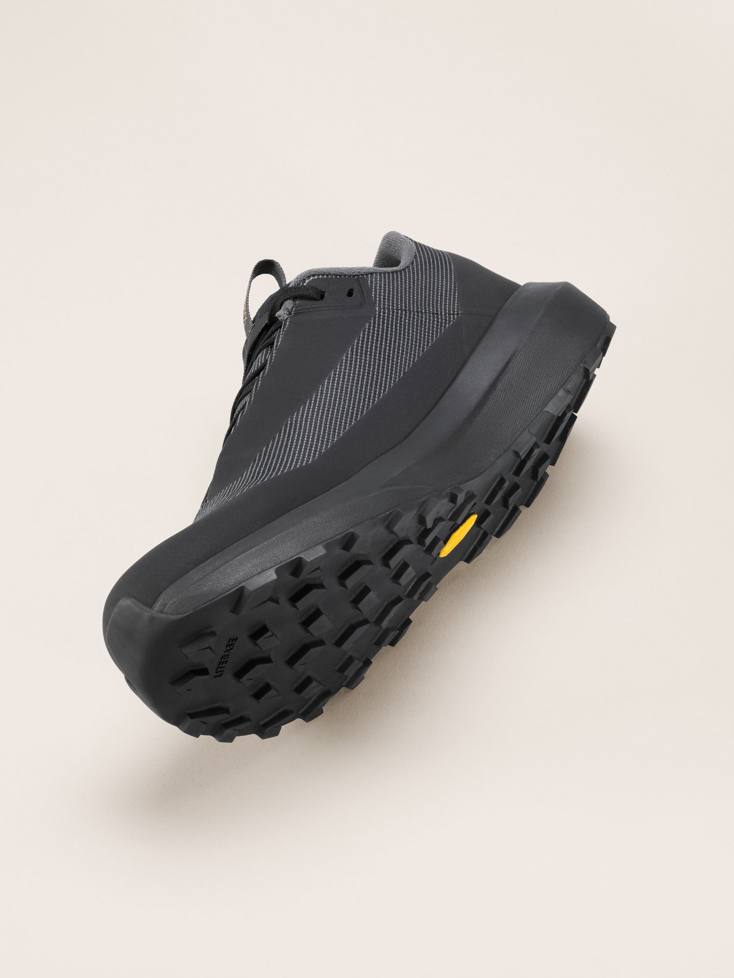 Norvan LD 4 GTX Shoe Men's