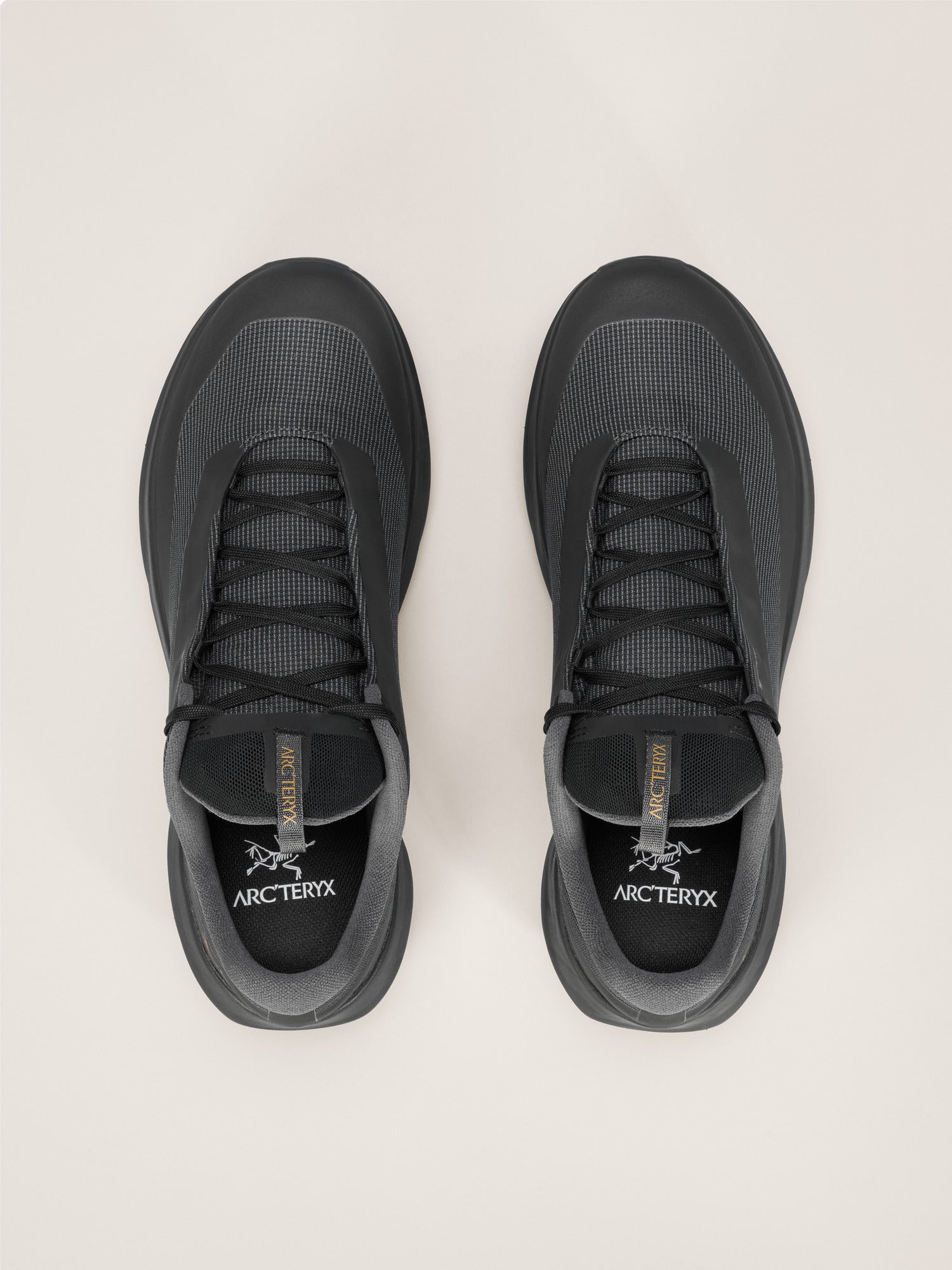 Norvan LD 4 GTX Shoe Women's