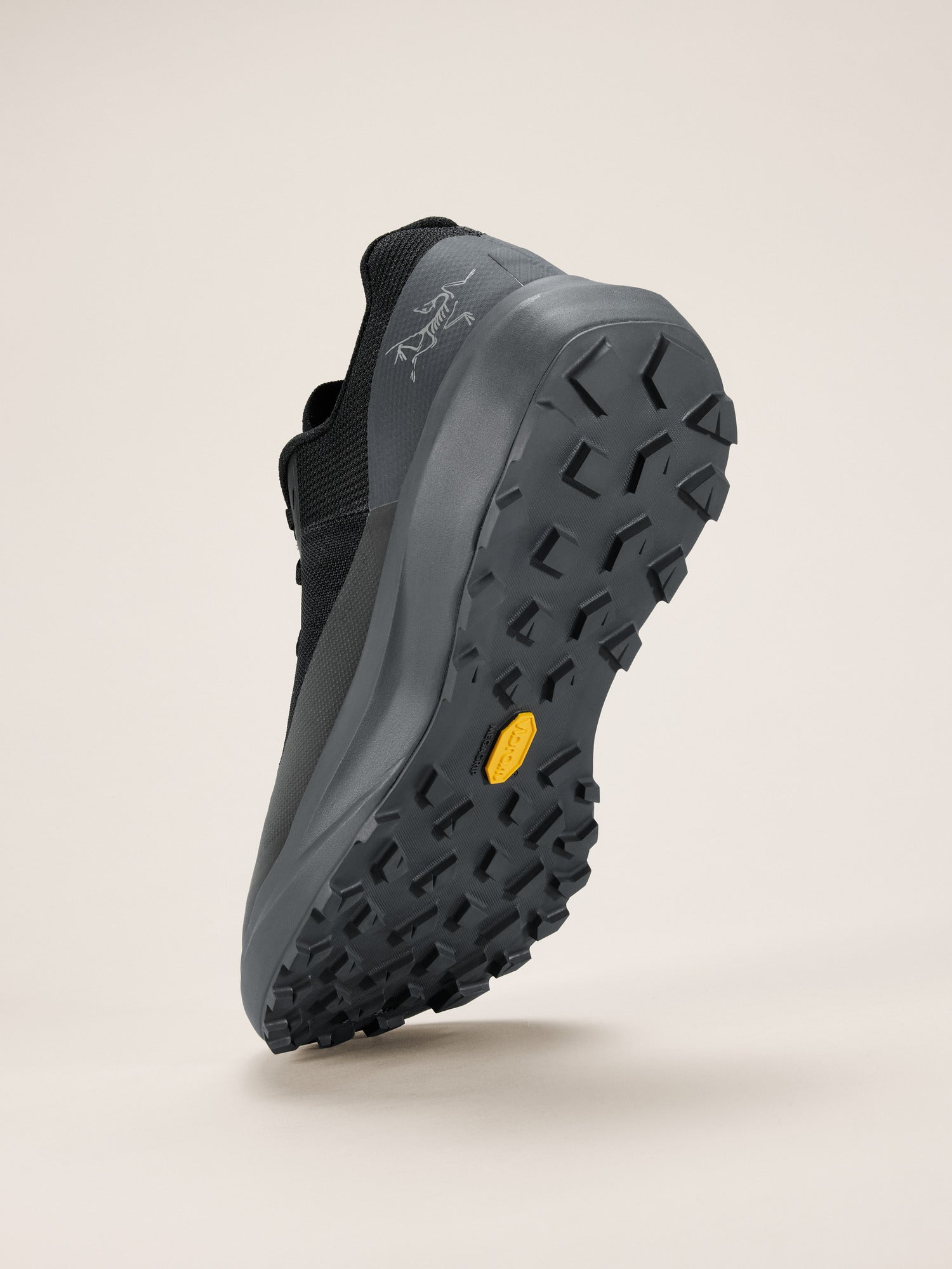 Norvan LD 4 Shoe Women's