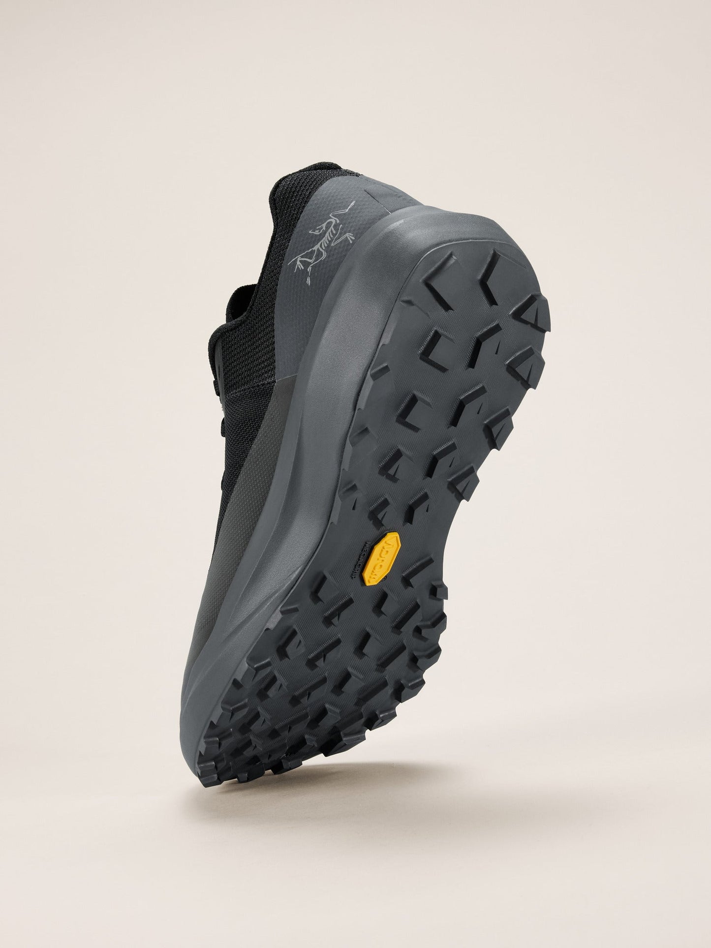 Norvan LD 4 Shoe Women's