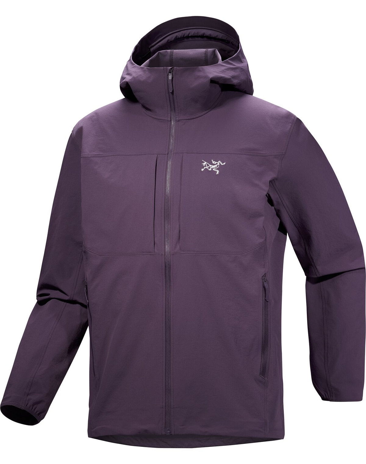 Gamma Hoody Men's