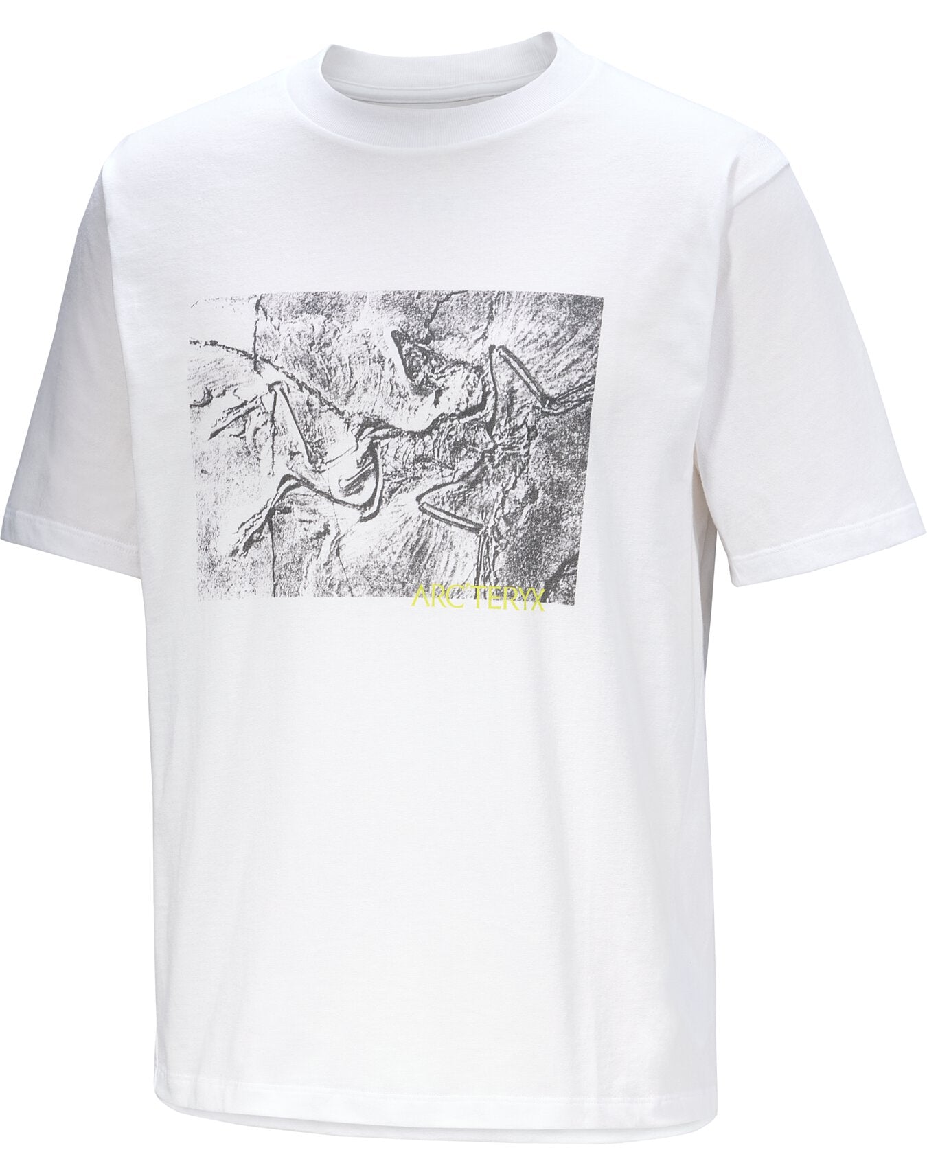 Kragg Cotton Lithographica Shirt SS Men's