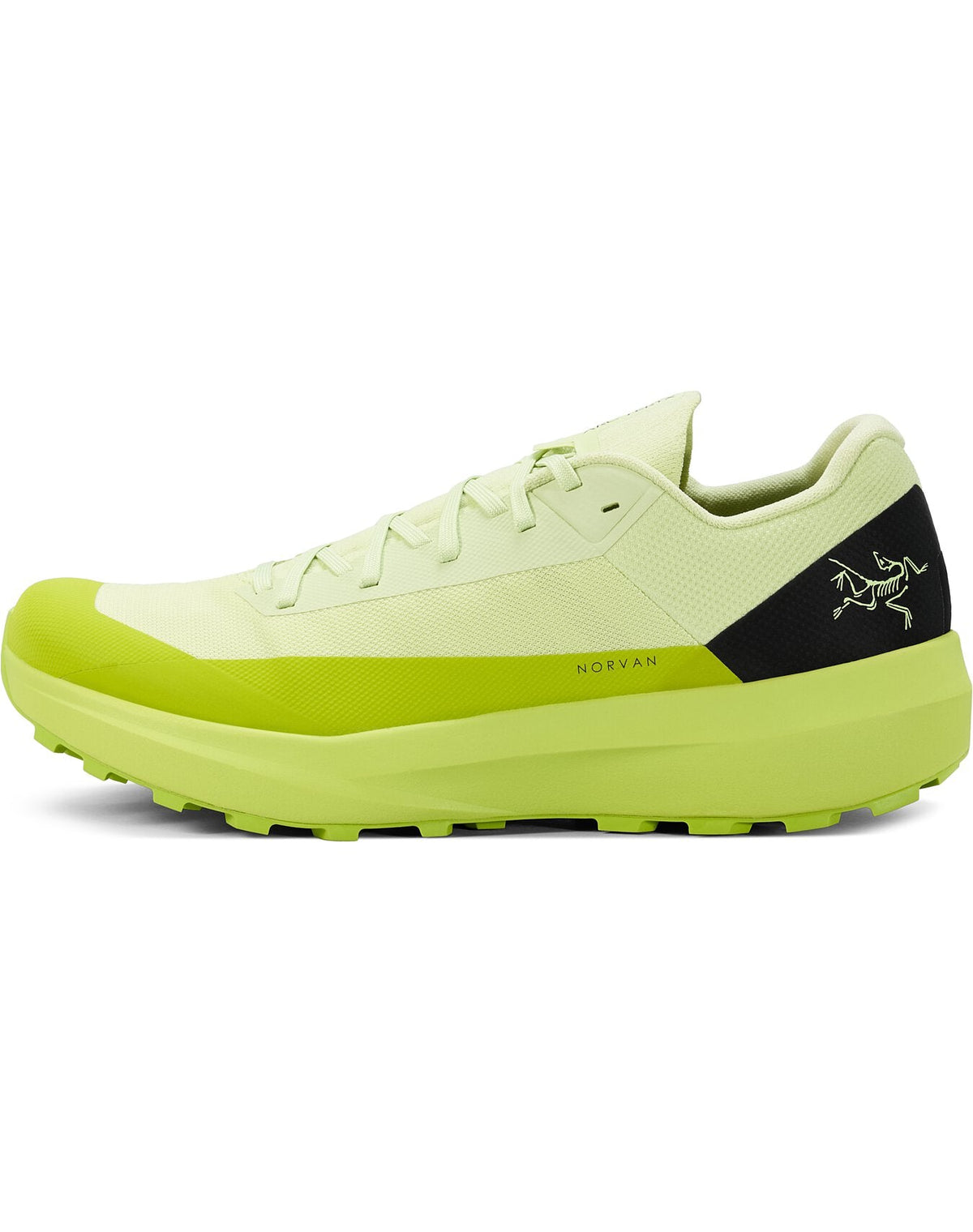 Norvan LD 4 Shoe Men's