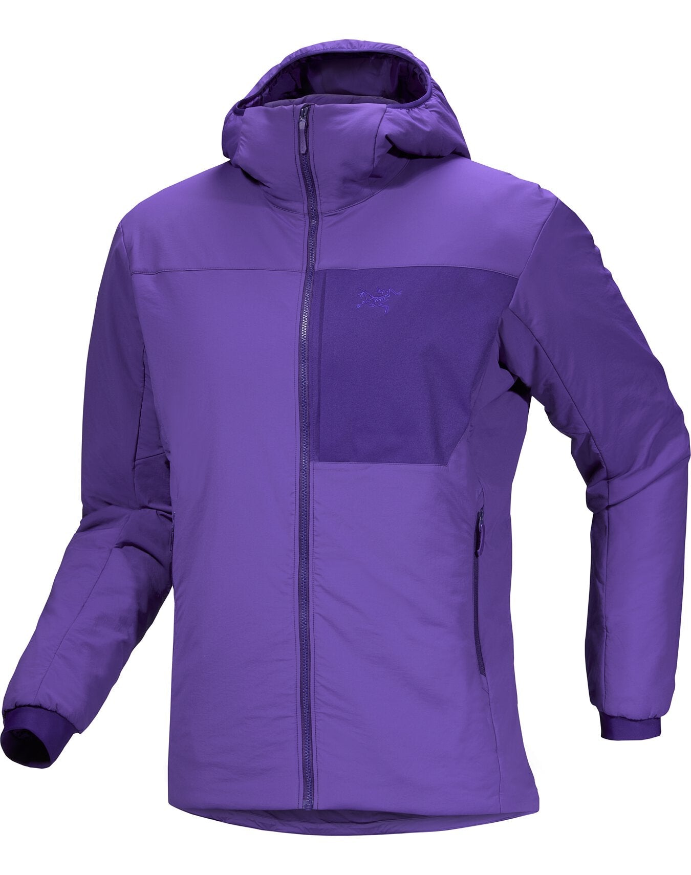 Proton Hoody Men's