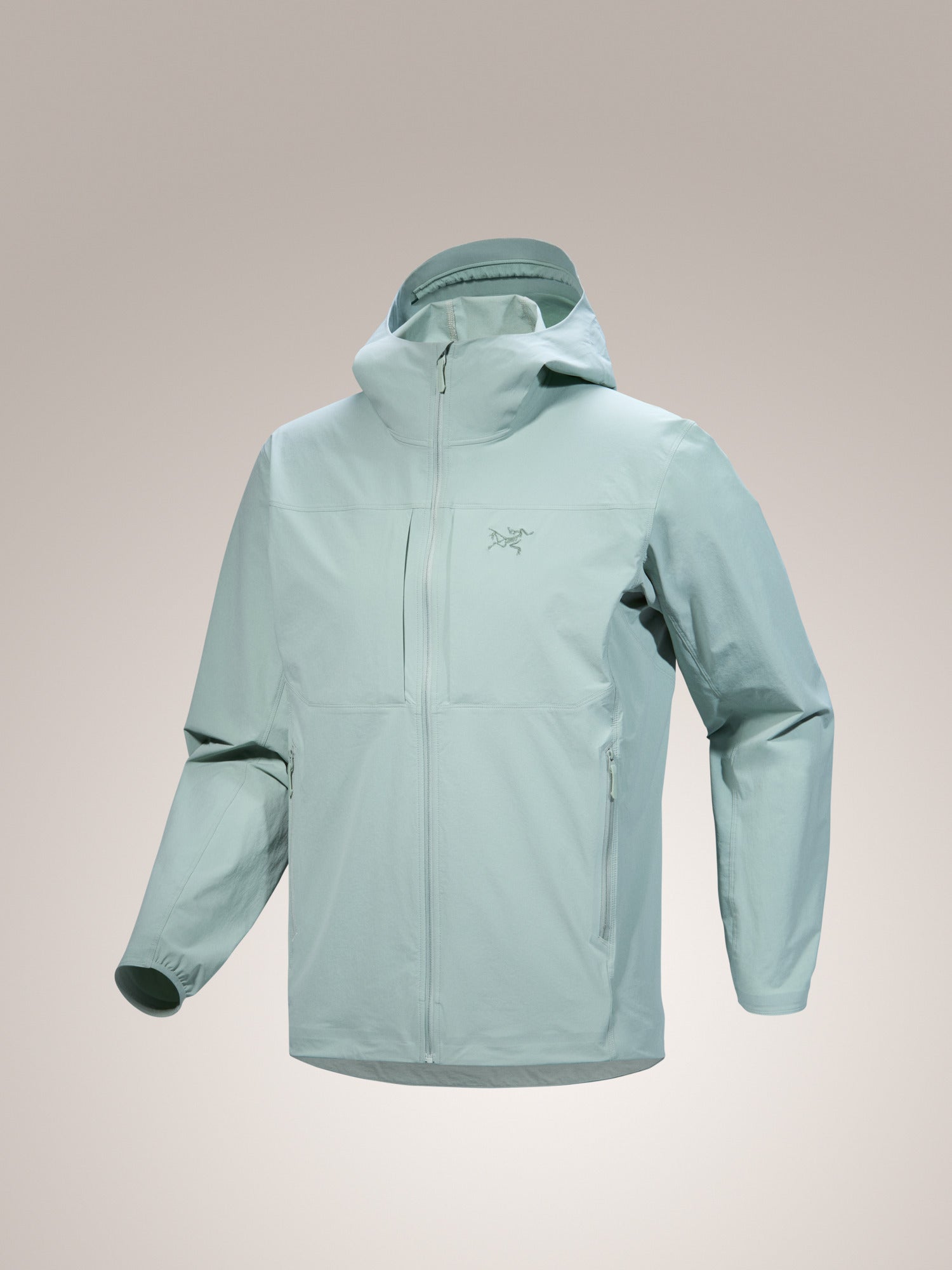 Gamma Lightweight Hoody Men's