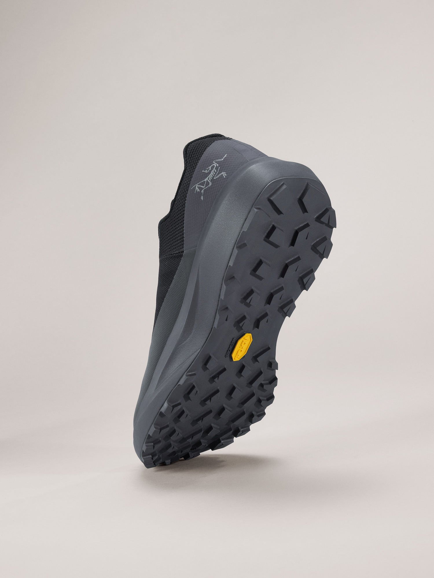 Norvan LD 4 Shoe Men's