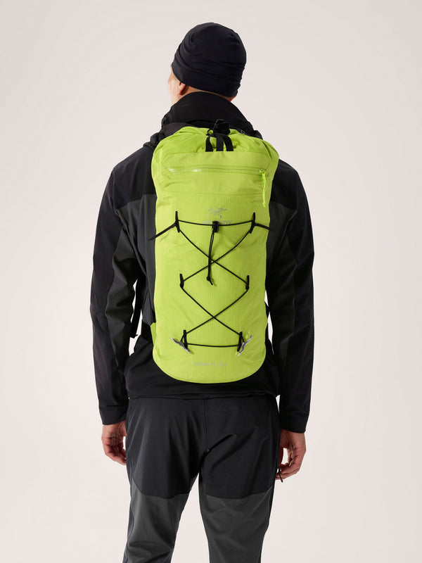 Alpha FL 20 Backpack