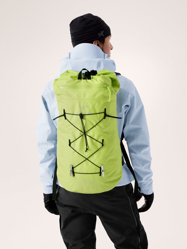 Alpha FL 30 Backpack