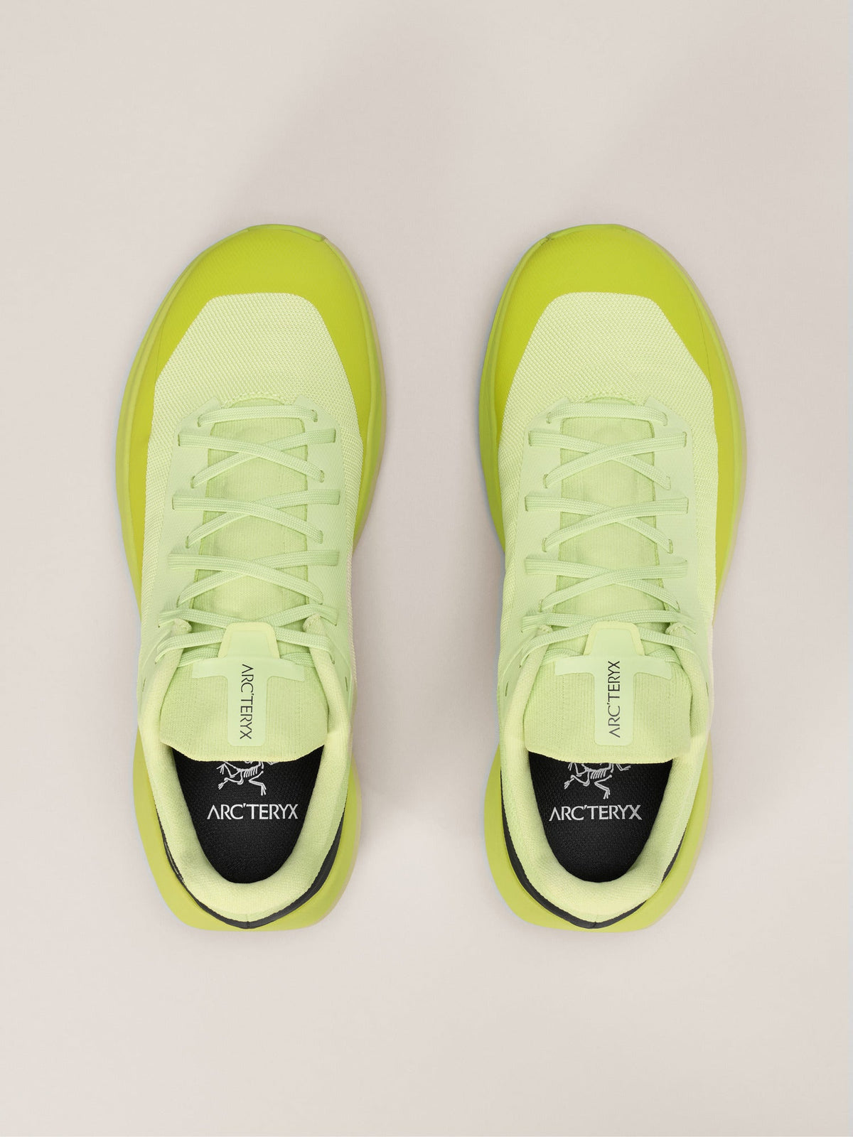 Norvan LD 4 Shoe Men's
