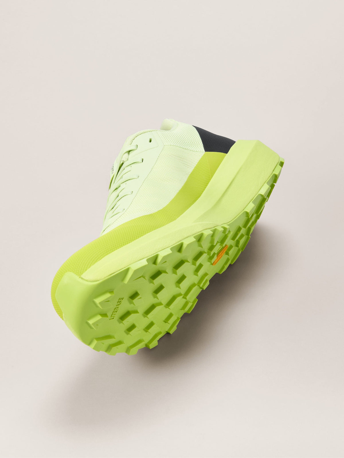 Norvan LD 4 Shoe Men's