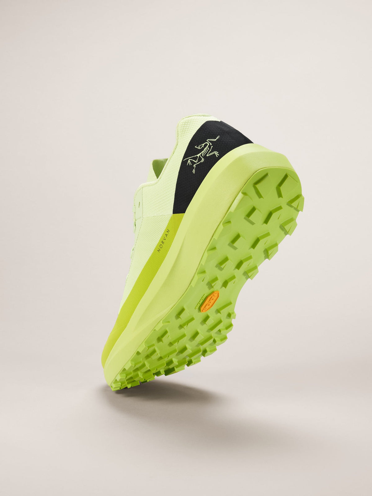 Norvan LD 4 Shoe Men's