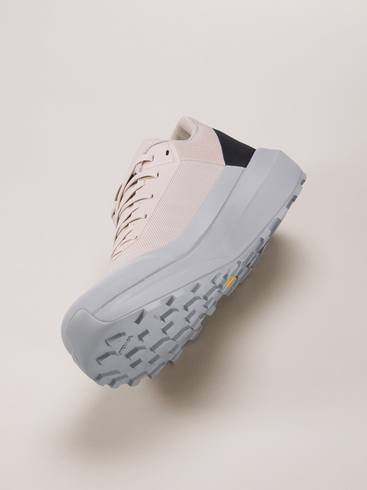 Norvan LD 4 Shoe Men's