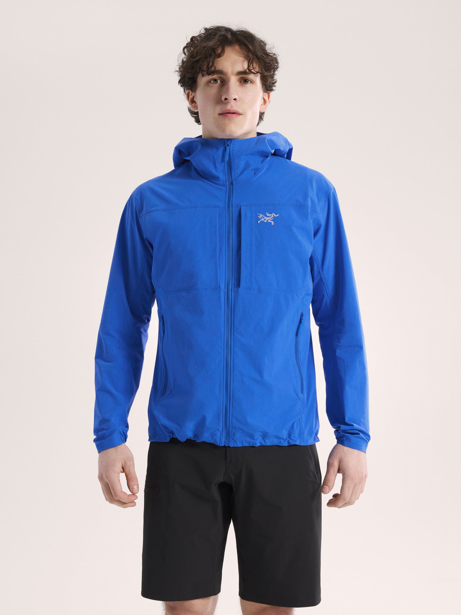 Gamma Lightweight Hoody Men's