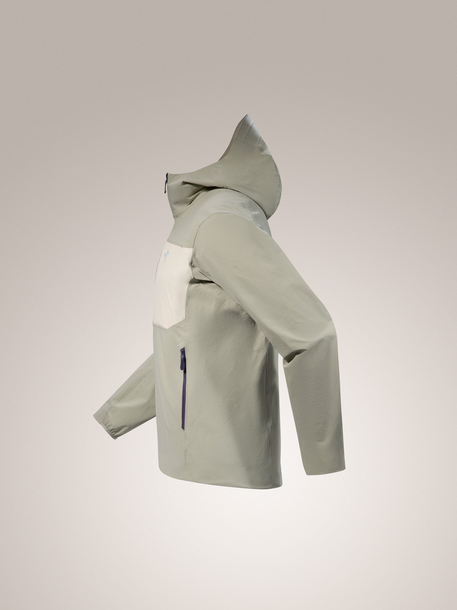 Gamma Lightweight Hoody Men's