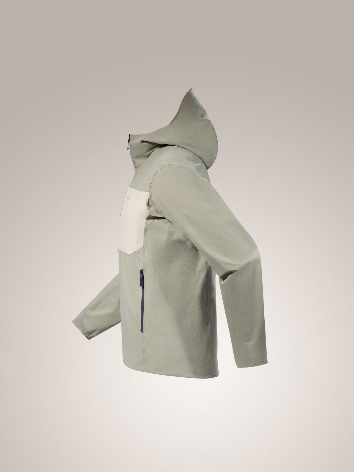 Gamma Lightweight Hoody Men's