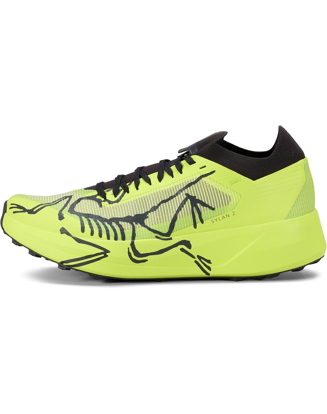Sylan 2 Shoe Men's