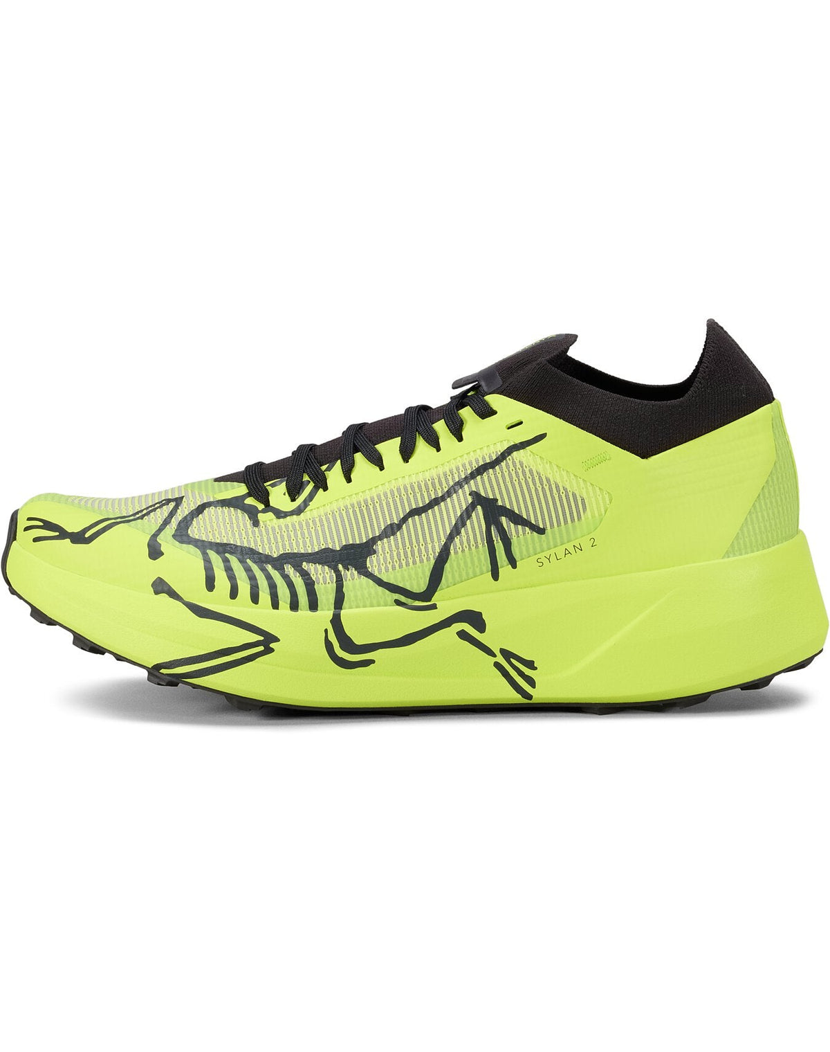 Sylan 2 Shoe Men's